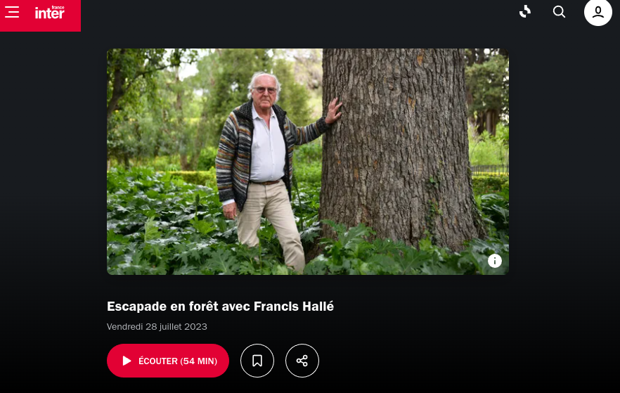 Podcast : Escapade en forêt avec Francis Hallé